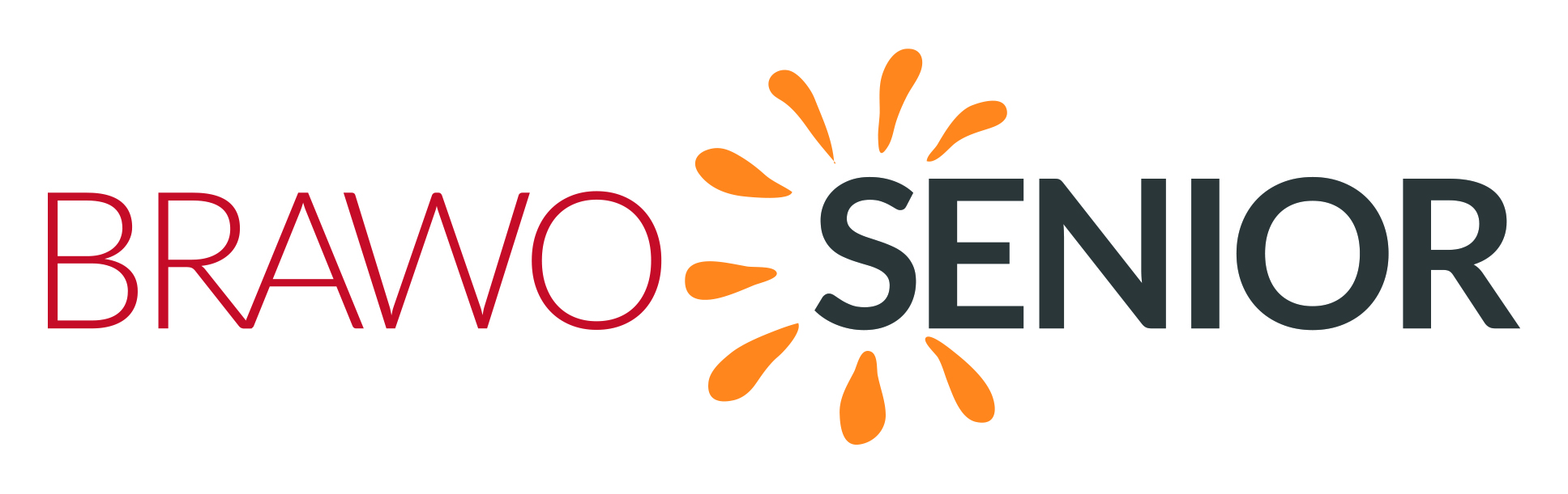 brawo senior logo
